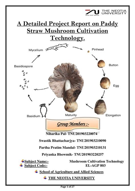 PDF A Detailed Project Report On Paddy Straw Mushroom Cultivation