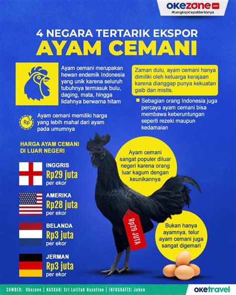 daging ayam cemani