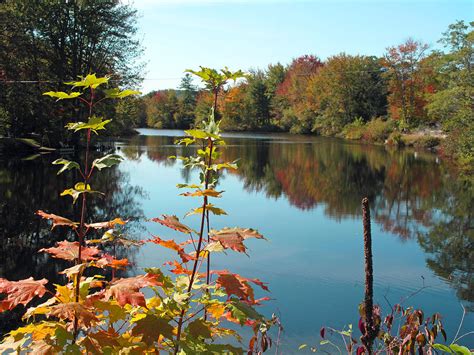 Pequawket Pond Reflections Photograph By Barbara Mcdevitt