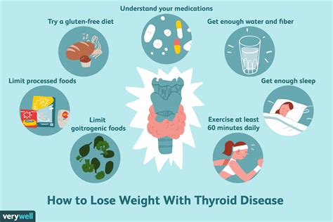 La Relaci N Entre Las Hormonas Tiroideas El Metabolismo Y El Peso