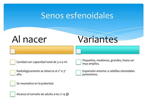 Diferencias Anat Micas Del Ni O Y Del Adulto Ppt