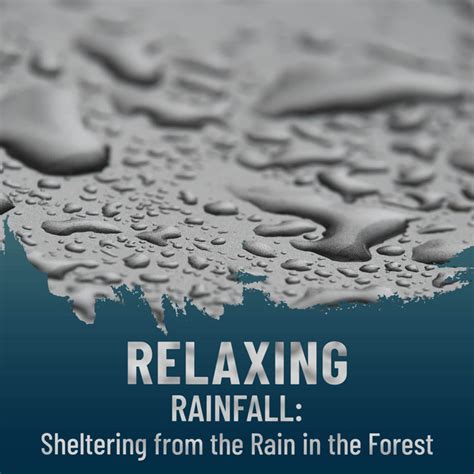 Relaxing Rainfall Sheltering From The Rain In The Forest Album By