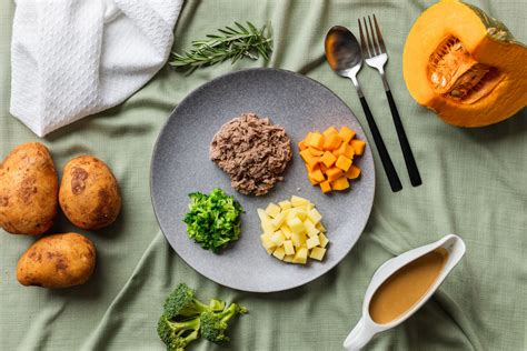 lamb soft bite sized textured concept foods