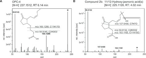 Uhplc Esi Qtof Ms Analysis Of Opc 4 And 1112 Hydroxy Ja Formed By L Download Scientific