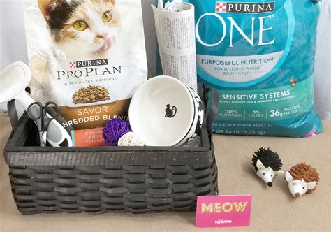 Things To Donate To Your Local Animal Shelter Making Time For Mommy