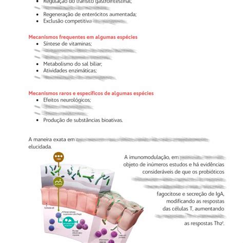 Guia para Prescrição de Probióticos Manipulados