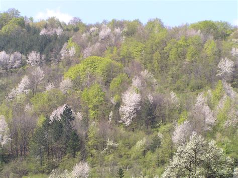 Free photo: Harmony and Peace - Autumn, Bspo06, Fall - Free Download