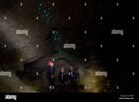 Participants Look At The Glow Worms On The Cave Roof While Black Water