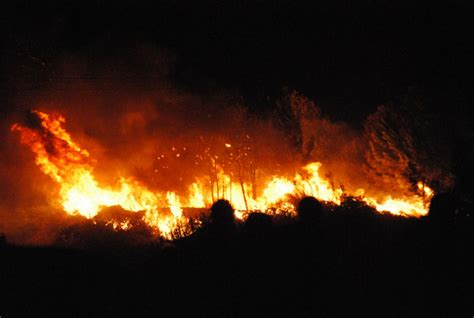 El Fuego Arrasa Ya M S De Hect Reas De Monte En Toda Galicia