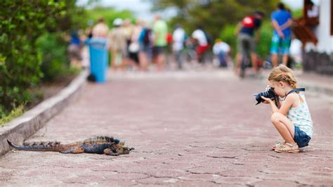 Natural Wonders of Galápagos Islands - Trip Connoisseurs