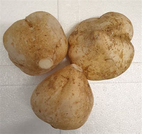 Buah Bangkuang Frozen Yam Bean Jicama 200g Toko Indonesia