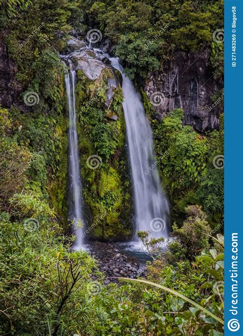 Dawson Falls In New Zealand Royalty-Free Stock Image | CartoonDealer.com #49179376