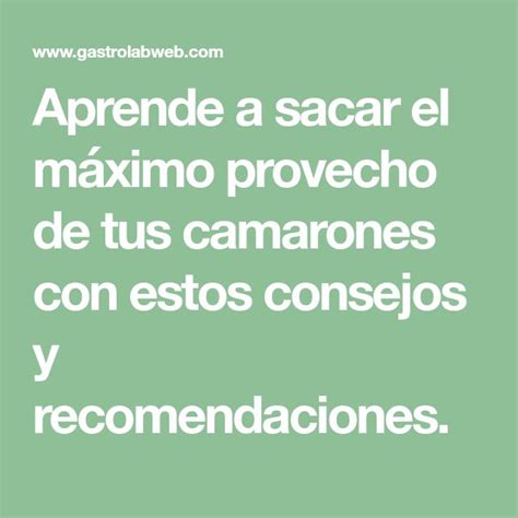 Aprende A Sacar El M Ximo Provecho De Tus Camarones Con Estos Consejos