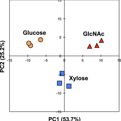 Principal Component Analysis Pca Of The Metabolomic Data For S