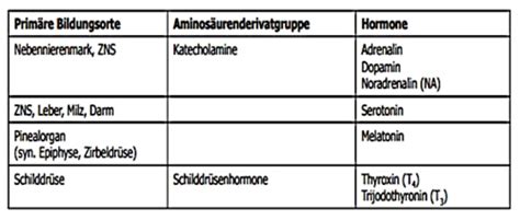 BV 7 S Karteikarten Quizlet