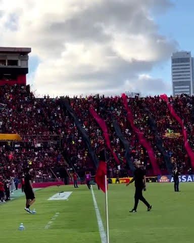 Torcida Do Sport Na Partida Diante Do Petrolina Pela Semi Final Do