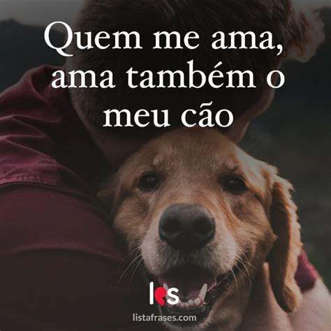 Frases De Amor Sobre Cachorros Fraseteca