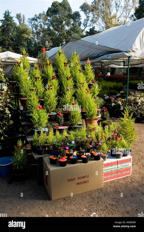 Mercado de plantas xochimilco fotografías e imágenes de alta resolución