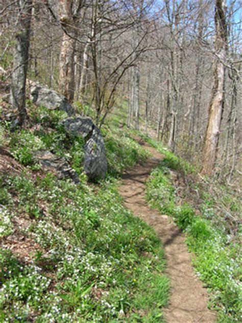 Appalachian Trail Mileage Chart : Facts & Information : SummitPost