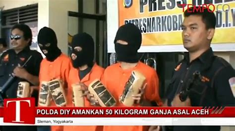 Polda Diy Amankan Kg Ganja Kering Asal Aceh Video Dailymotion