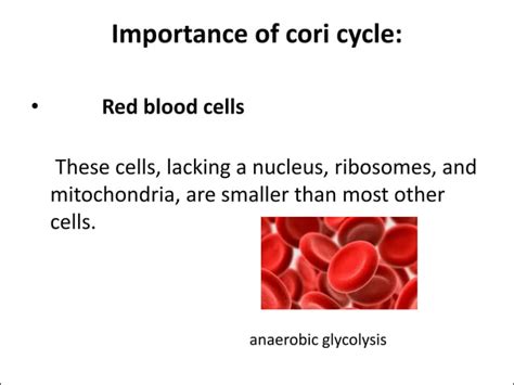 Cori cycle | PPT