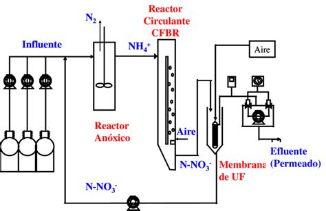 Esquema Del Biorreactor H Brido De Membrana Usado En Los Estudios De