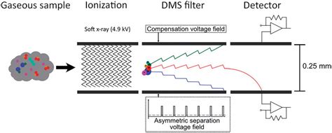 A Schematic Representation Of The Differential Mobility Spectrometer Download Scientific