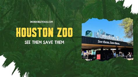 Houston Zoo Tickets, Hours, Map, Free Days, Price, Lights, Parking ...