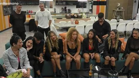 Gran Hermano Se Viene Una Propuesta De Casamiento En Vivo Diario La