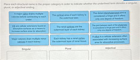 Solved Place Each Structural Name In The Proper Category In