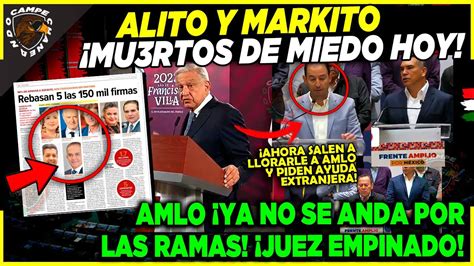 MU3RT0S DE MIEDO ALITO Y MARKITO LE LLORAN A AMLO JUEZ AL BOTE POR