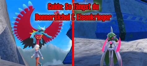 Pok Mon Karmesin Purpur Guide So Erh Ltst Du Eisenkrieger Und