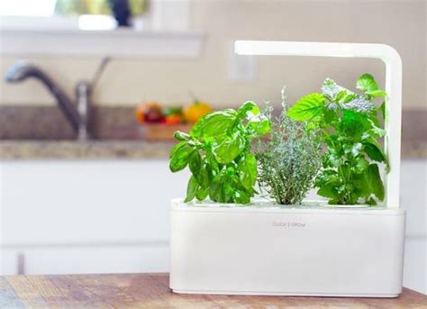 22 Kitchen Countertop Herb Garden Ideas For Apartment Living