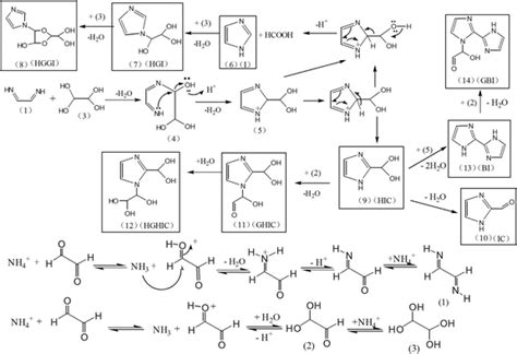 Proposed Reaction Mechanisms For The Imidazole Compounds Formation In