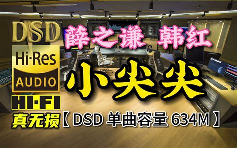 流行热歌：薛之谦and韩红《小尖尖》dsd完整版，单曲容量634m【30万首精选真正dsd无损hifi音乐，百万调音师制作】 车音乐百万调音师