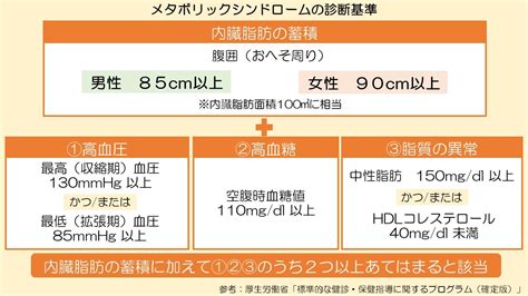 今回の研修テーマ “メタボリックシンドローム”