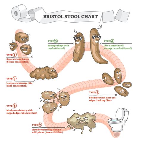 Bowel Movements Health And Cancer Risk Hillandale Primary Care