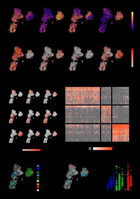 Fb5p Seq Analysis Of Human Tonsil B Cell Subsets A T Sne Map Of Download Scientific Diagram