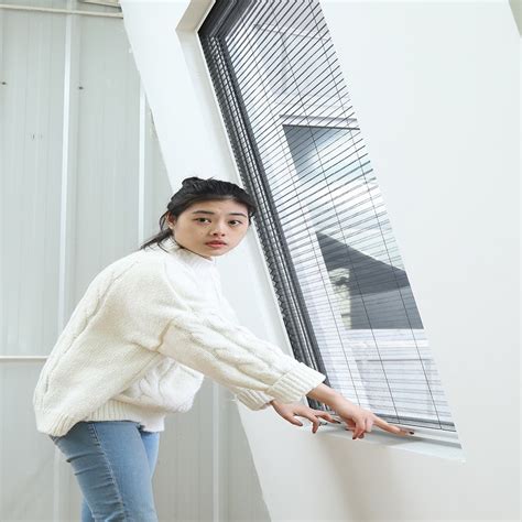 High Density Combination Roof Window Pleated Fly Screen Mosquito Net