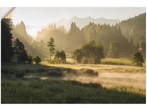 Artland Wandbild Sommermorgen In Den Alpen Wiesen B Ume St B