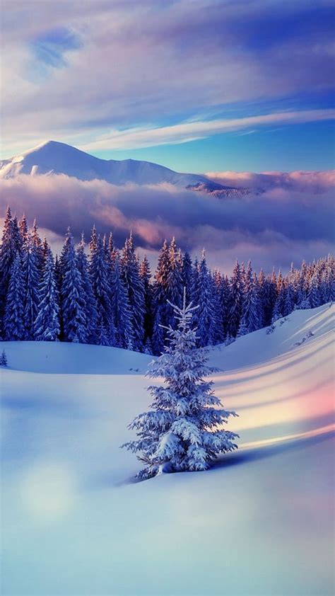 Winter Hd Wallpaper For Mobile K Infoupdate Org