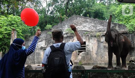 Foto Suasana Taman Margasatwa Ragunan Saat Kembali Dibuka Foto