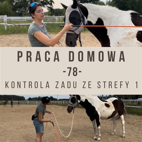 Praca domowa Szkoła Alfa Horse Psychologia Trening Koni Online