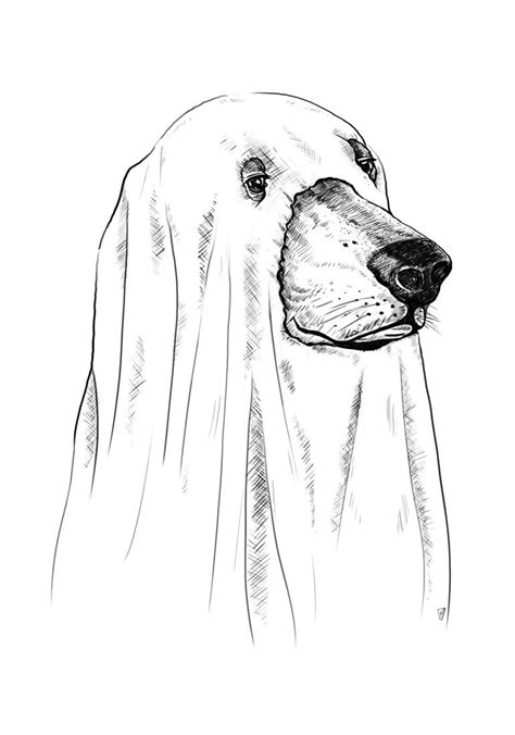 Ghost Dog Drawing By Gul Ari Saatchi Art