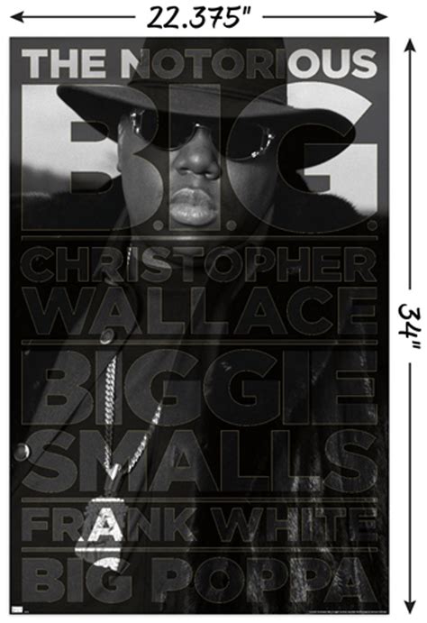 Notorious B.I.G. - AKA Poster - 22.375" x 34" - The Blacklight Zone