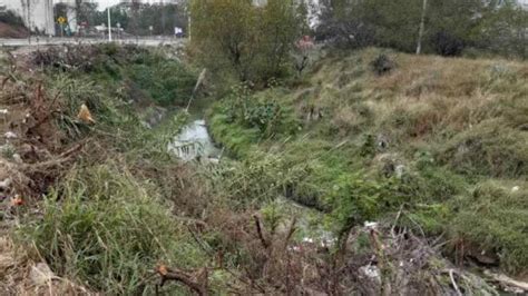 Invaden Maleza Y Basura El Dren De Las Mujeres