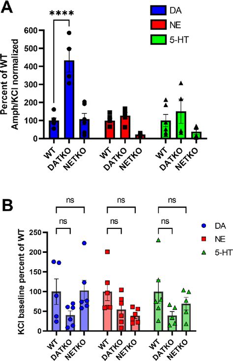 Effect Of Amphetamine On Monoamine Efflux In Pfc Tissue A Pfc Tissue