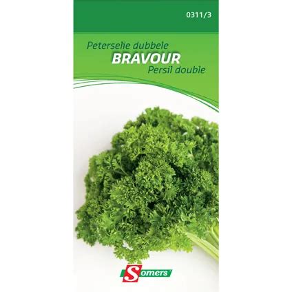 Sachet Graines Persil Double Somers Bravour