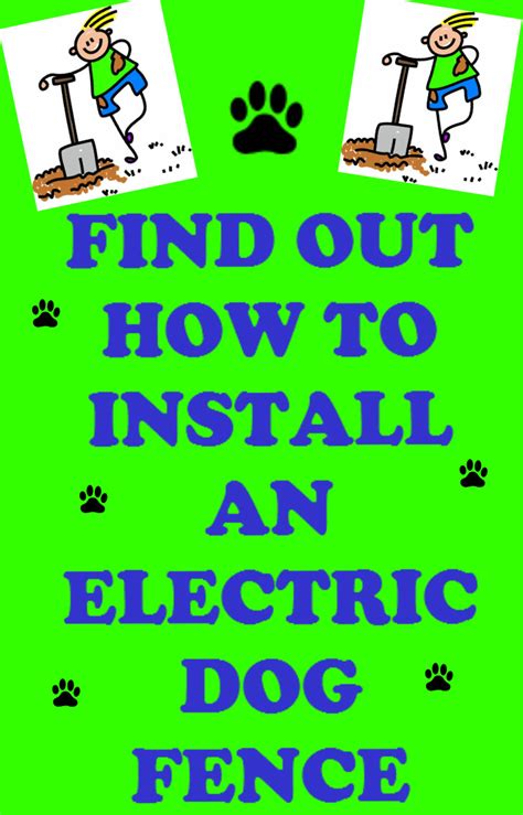 How To Install An Electric Dog Fence | Dig Your Dog