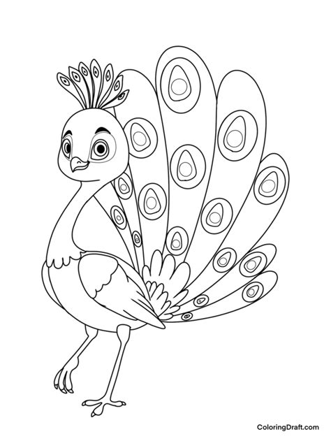 Peacock Coloring Pages